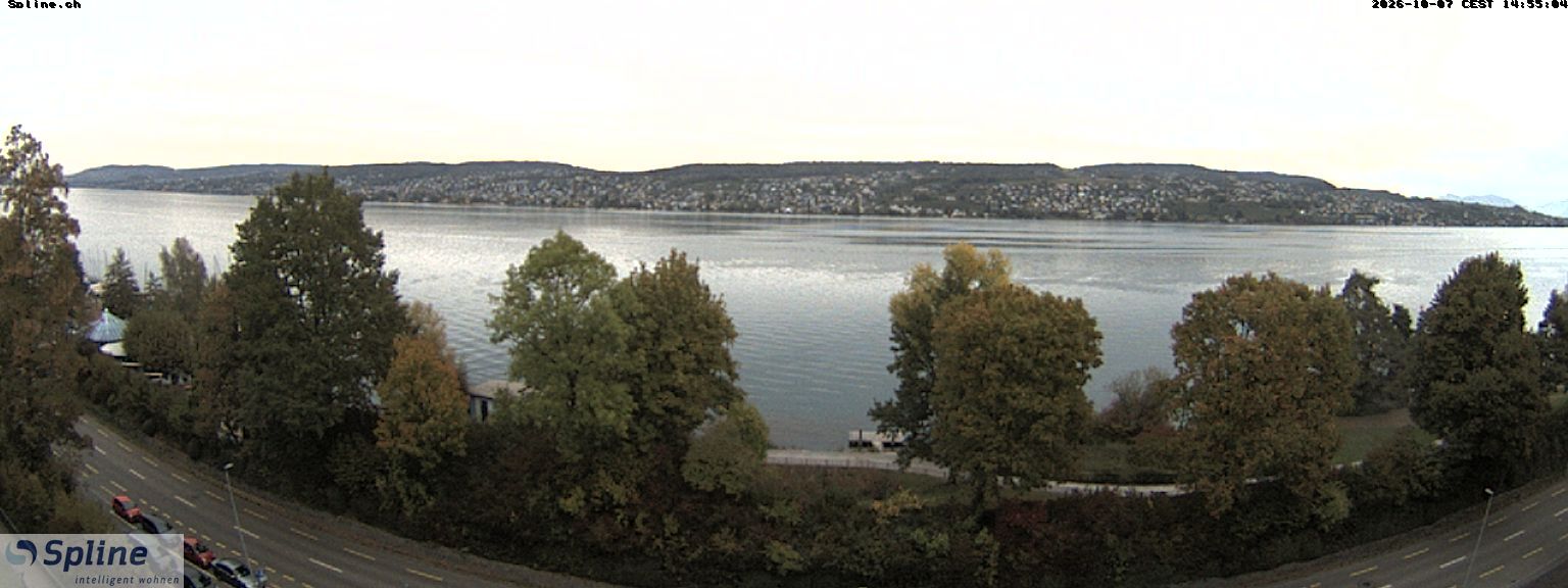 Thalwil: Panorama Webcam - Zürichsee