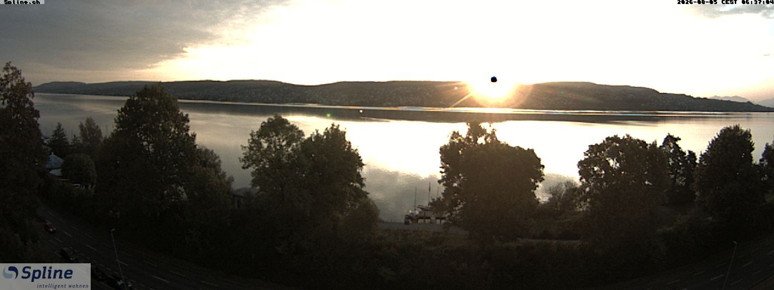 Thalwil: Panorama Webcam - Zürichsee