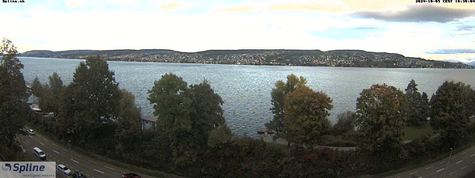 Thalwil: Panorama Webcam - Zürichsee