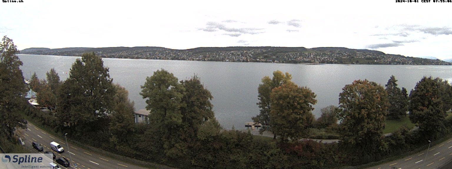 Thalwil: Panorama Webcam - Zürichsee