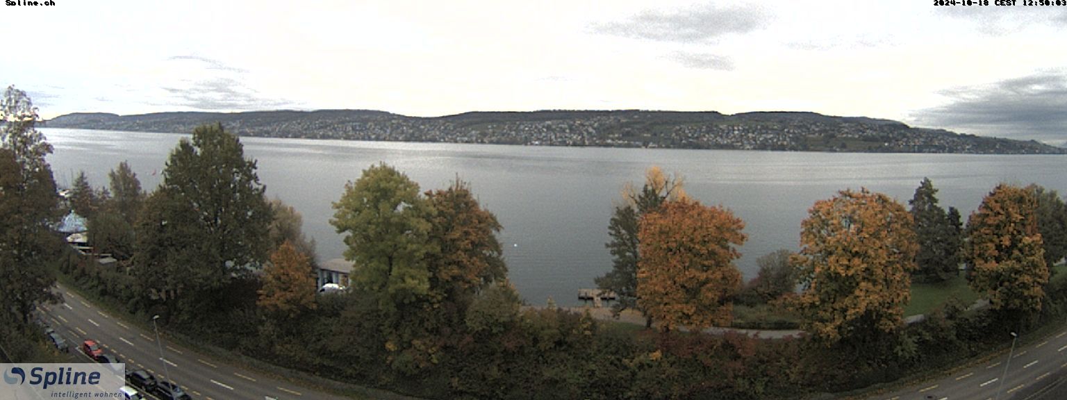 Thalwil: Panorama Webcam - Zürichsee