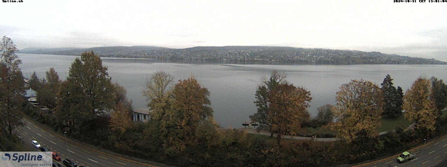 Thalwil: Panorama Webcam - Zürichsee