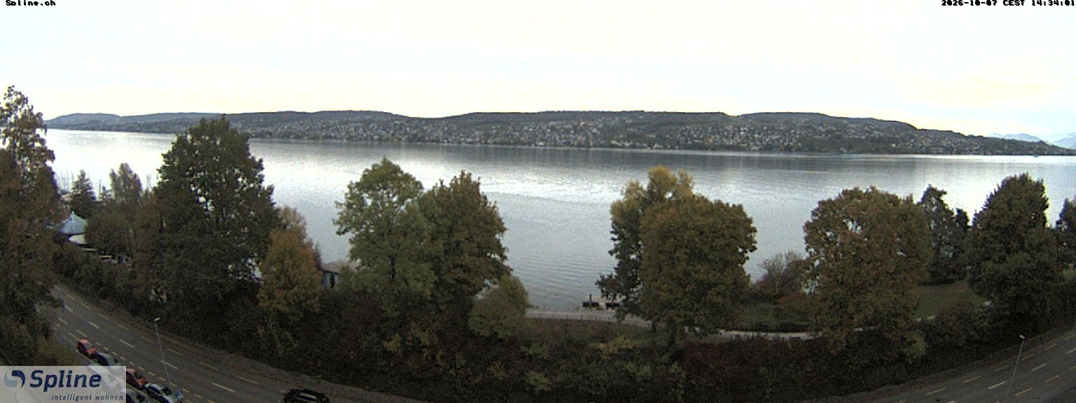 Thalwil: Panorama Webcam - Zürichsee