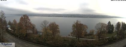 Thalwil: Panorama Webcam - Zürichsee