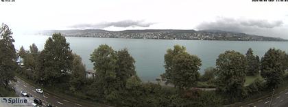 Thalwil: Panorama Webcam - Zürichsee