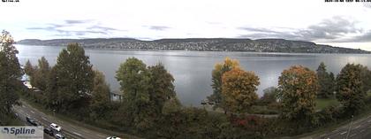 Thalwil: Panorama Webcam - Zürichsee