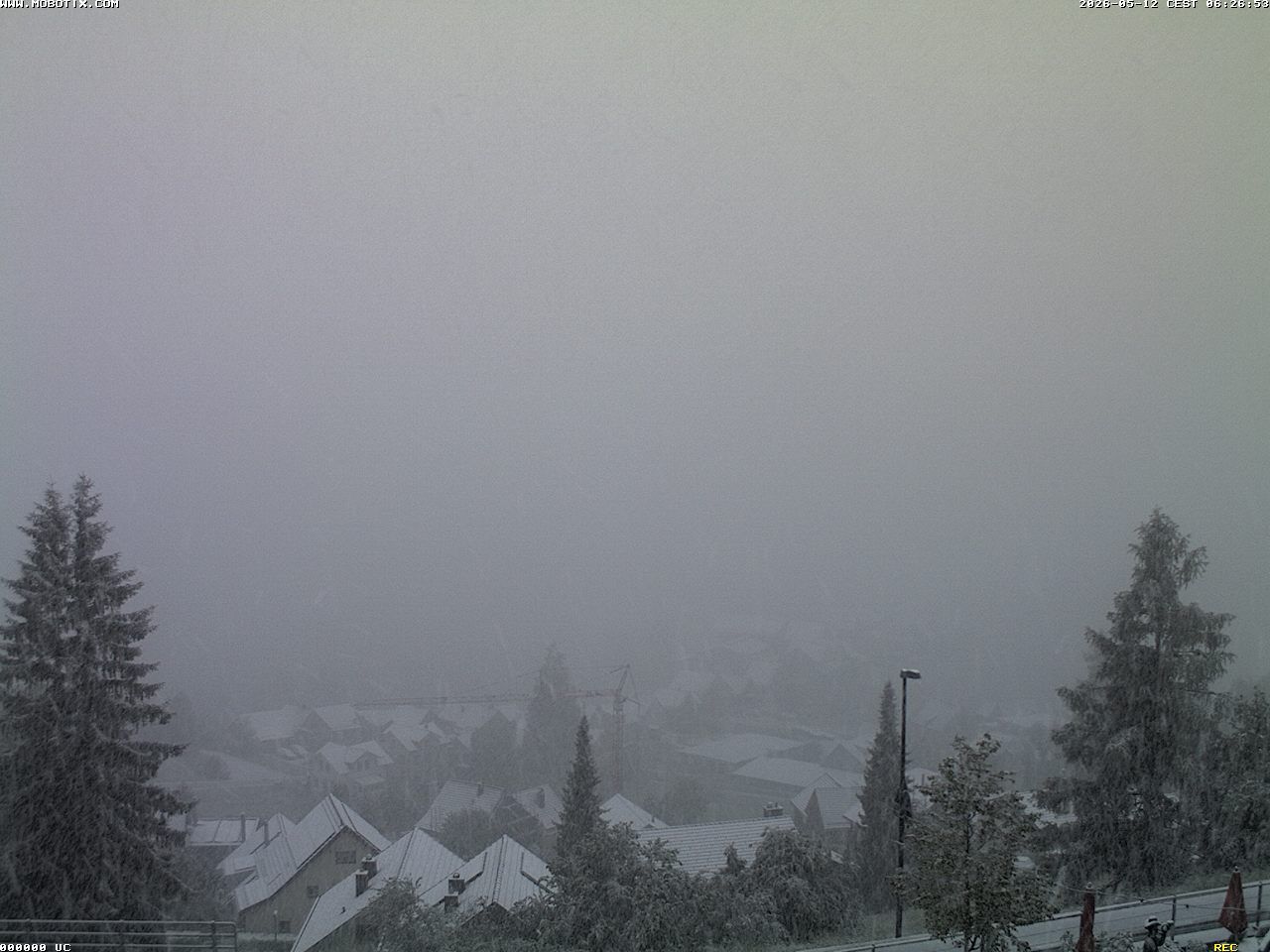 Rehetobel › Süden: › South - Dorf