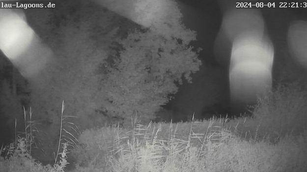Zislow water Webcam