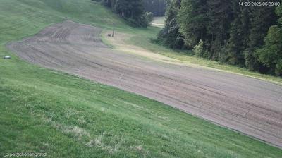 Forestscapes of Schwellbrunn
