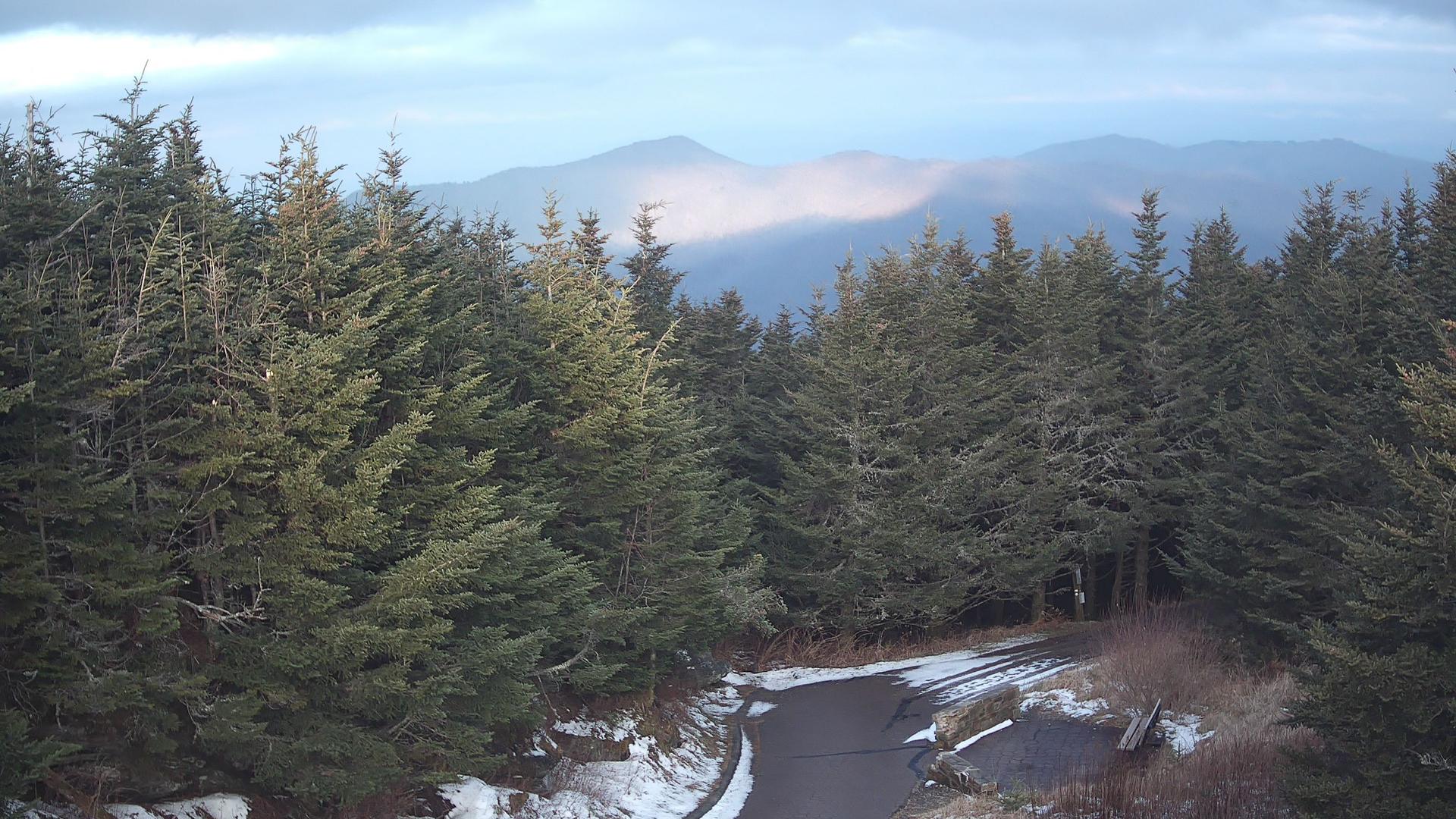 Webcams around Mount Mitchell State Park meteoblue