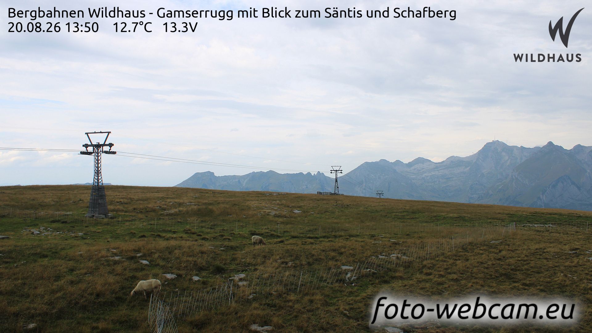 Wildhaus-Alt St. Johann: Bergbahnen Wildhaus - Gamserrugg mit Blick zum Säntis und Schafberg