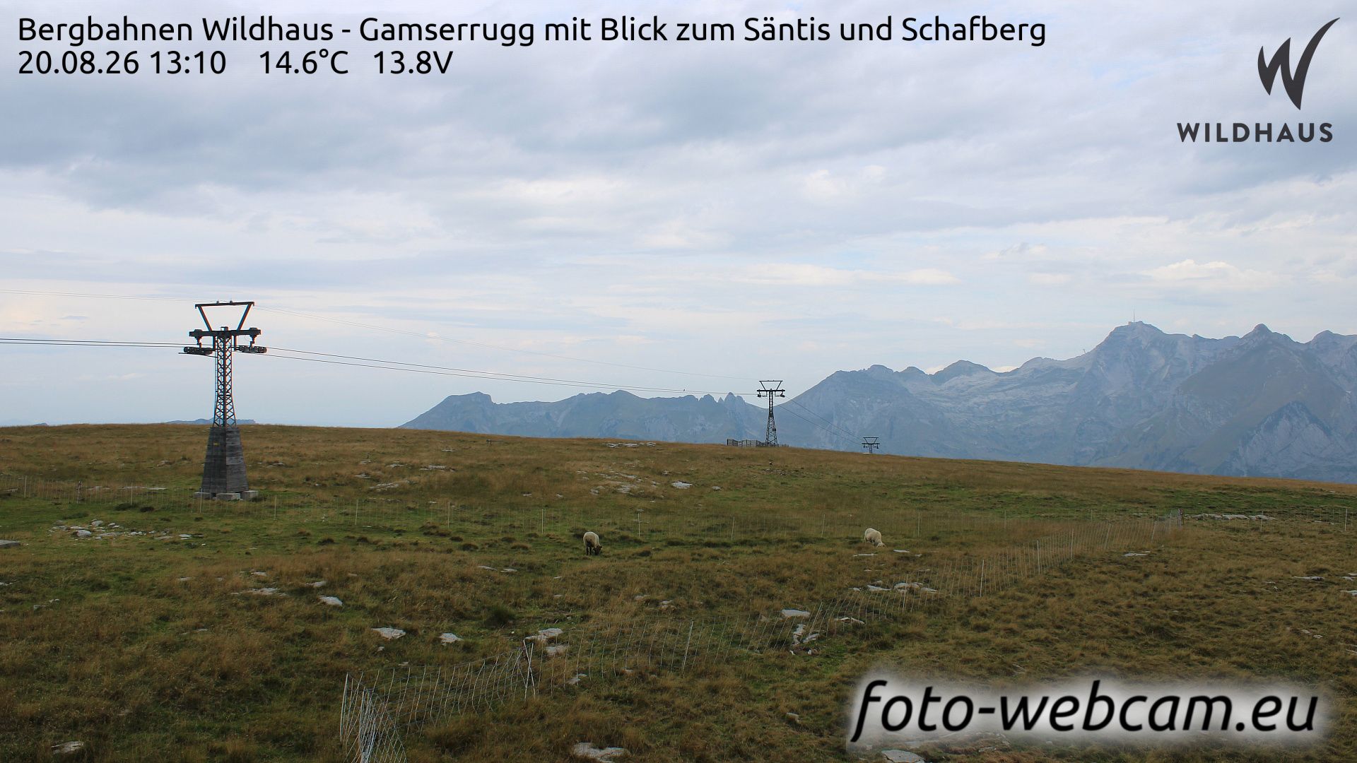 Wildhaus-Alt St. Johann: Bergbahnen Wildhaus - Gamserrugg mit Blick zum Säntis und Schafberg