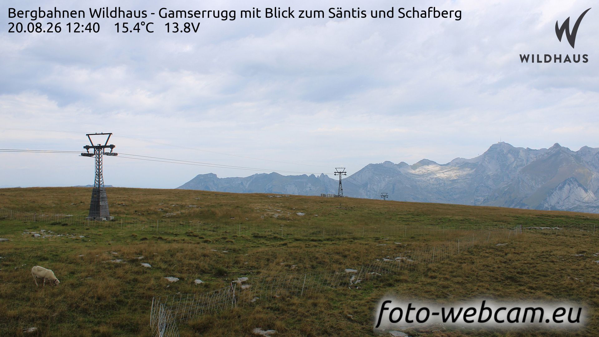 Wildhaus-Alt St. Johann: Bergbahnen Wildhaus - Gamserrugg mit Blick zum Säntis und Schafberg