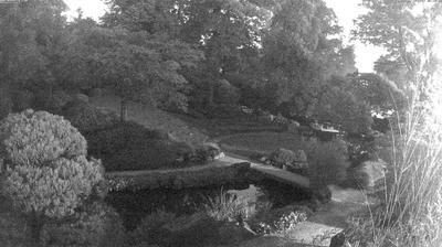 Otterbach park webcam