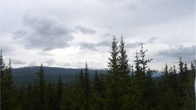 Grane i dag