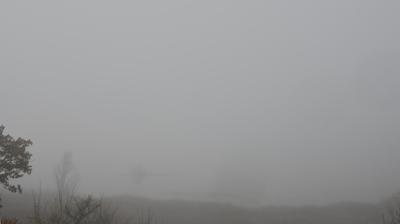 Arlaching See-Webcam