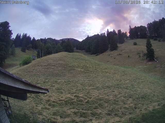 Balm bei Günsberg › Westen