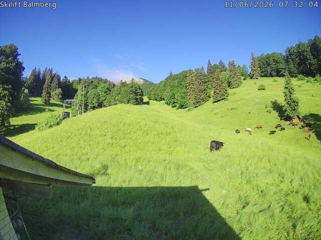 Balm bei Günsberg › Westen