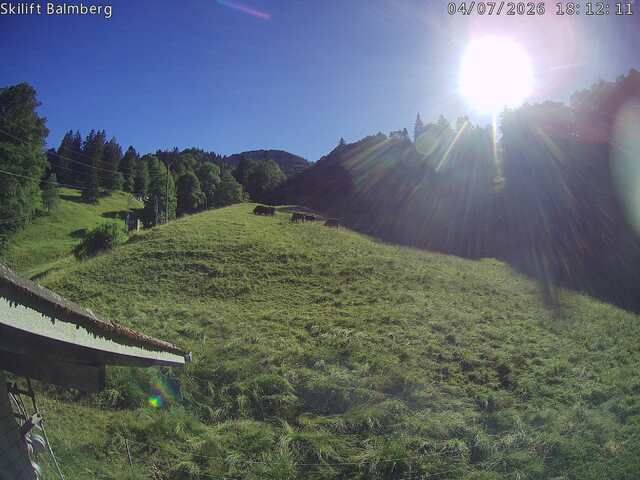 Balm bei Günsberg › Westen