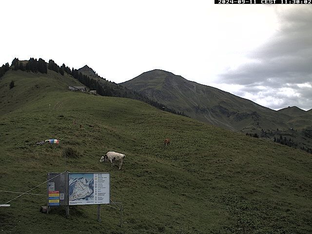 Diemtigen: Diemtigtal - Grimmialp, Stierenberg