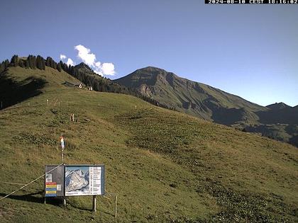 Diemtigen: Diemtigtal - Grimmialp, Stierenberg