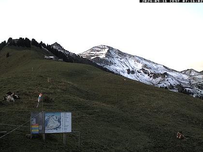 Diemtigen: Diemtigtal - Grimmialp, Stierenberg