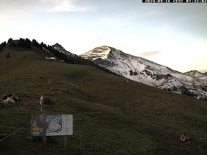 Diemtigen: Diemtigtal - Grimmialp, Stierenberg