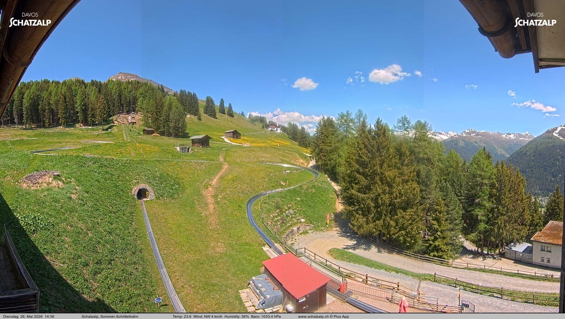 Davos: Sommer-Schlittelbahn, Blick zur Strelaalp