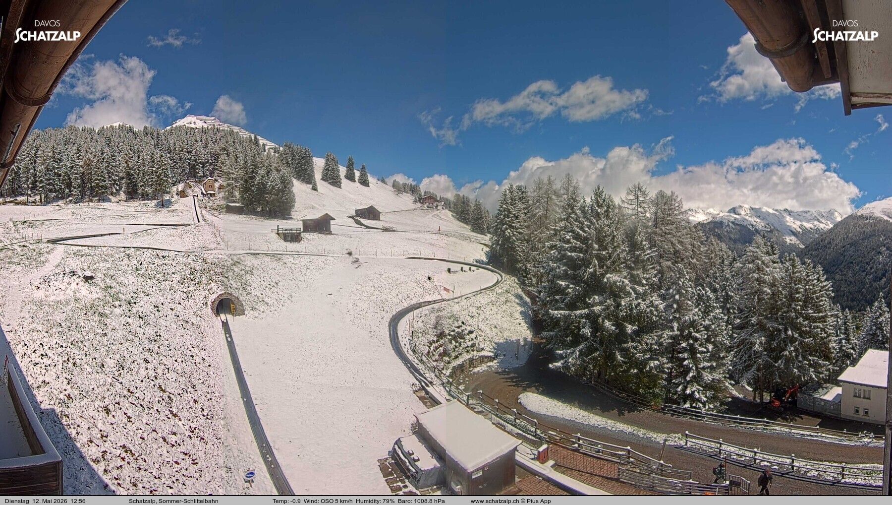 Davos: Sommer-Schlittelbahn, Blick zur Strelaalp