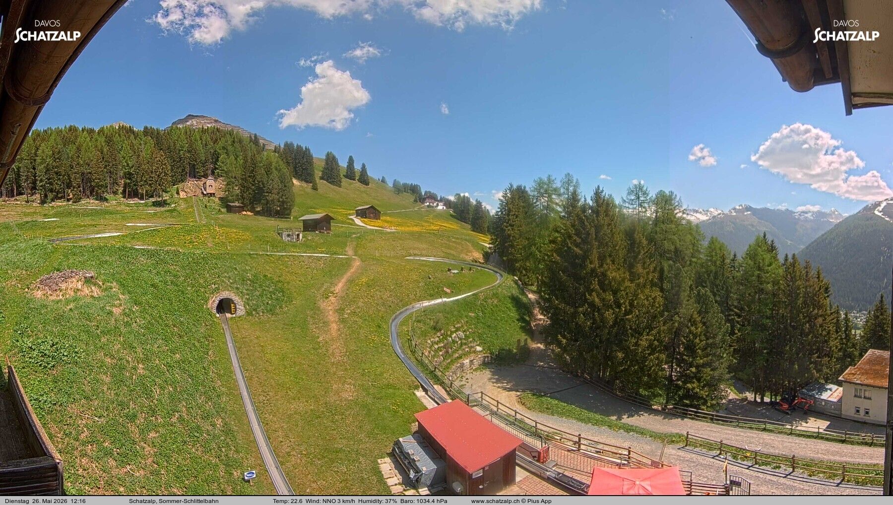 Davos: Sommer-Schlittelbahn, Blick zur Strelaalp