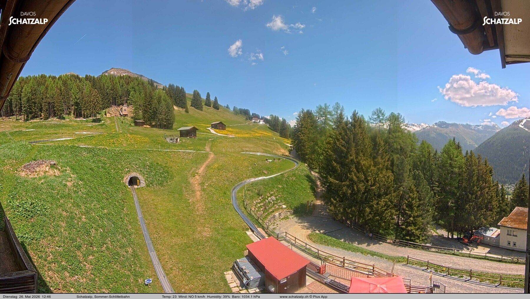 Davos: Sommer-Schlittelbahn, Blick zur Strelaalp