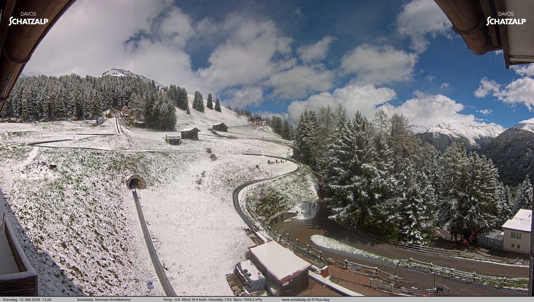 Davos: Sommer-Schlittelbahn, Blick zur Strelaalp