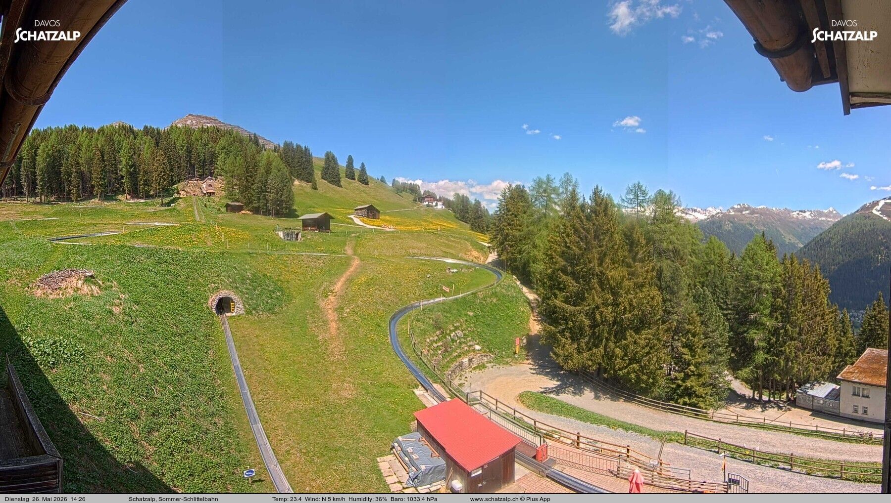 Davos: Sommer-Schlittelbahn, Blick zur Strelaalp