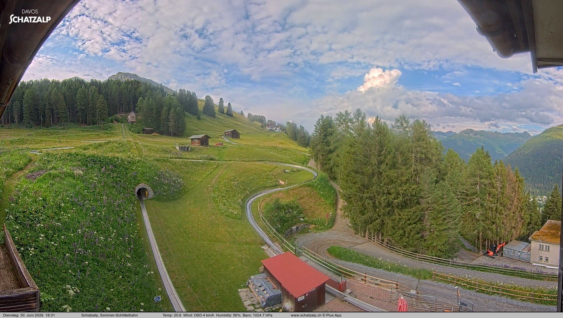 Davos: Sommer-Schlittelbahn, Blick zur Strelaalp