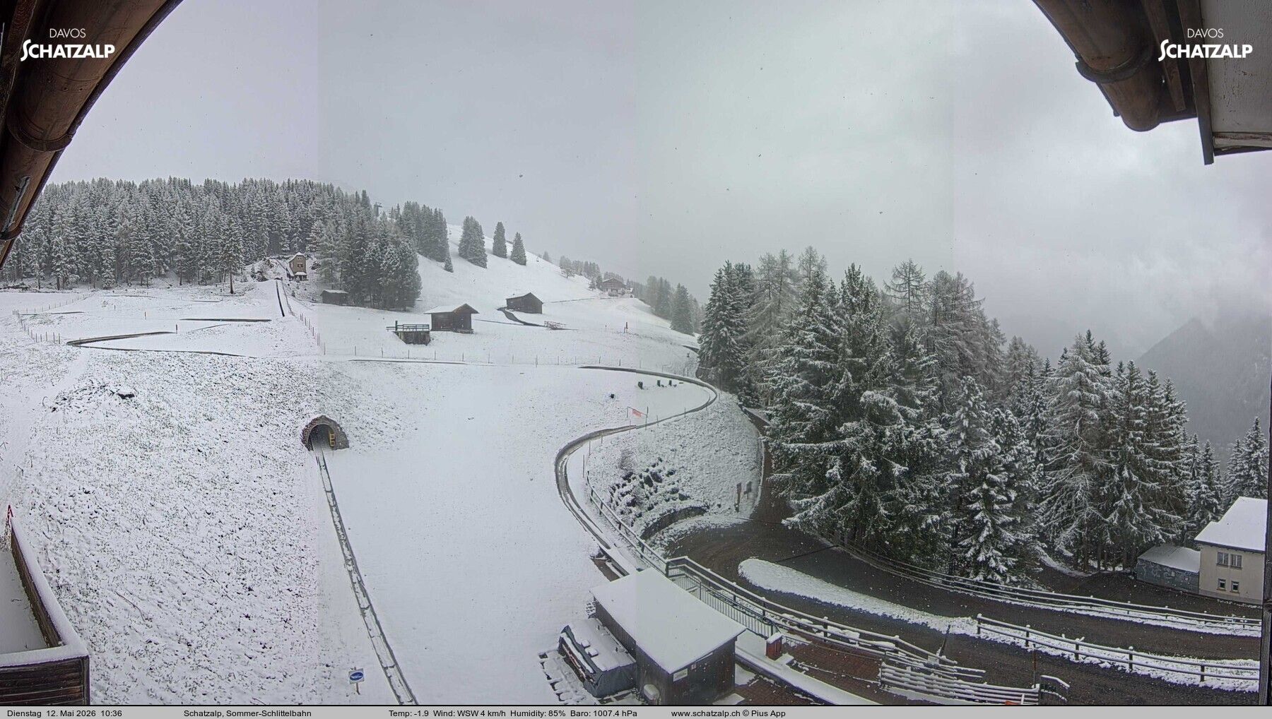 Davos: Sommer-Schlittelbahn, Blick zur Strelaalp