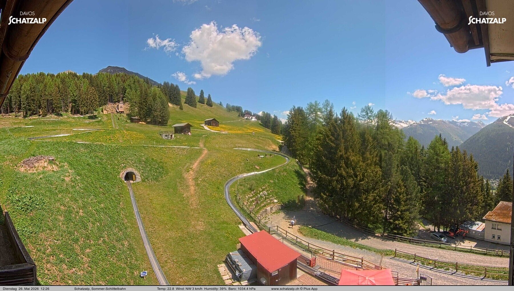 Davos: Sommer-Schlittelbahn, Blick zur Strelaalp