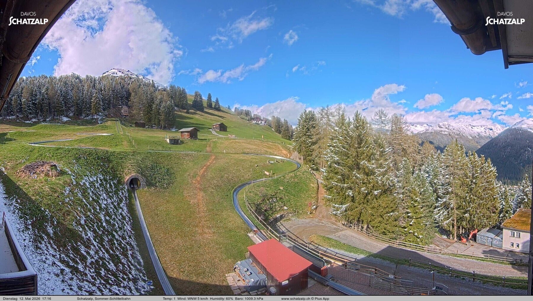 Davos: Sommer-Schlittelbahn, Blick zur Strelaalp