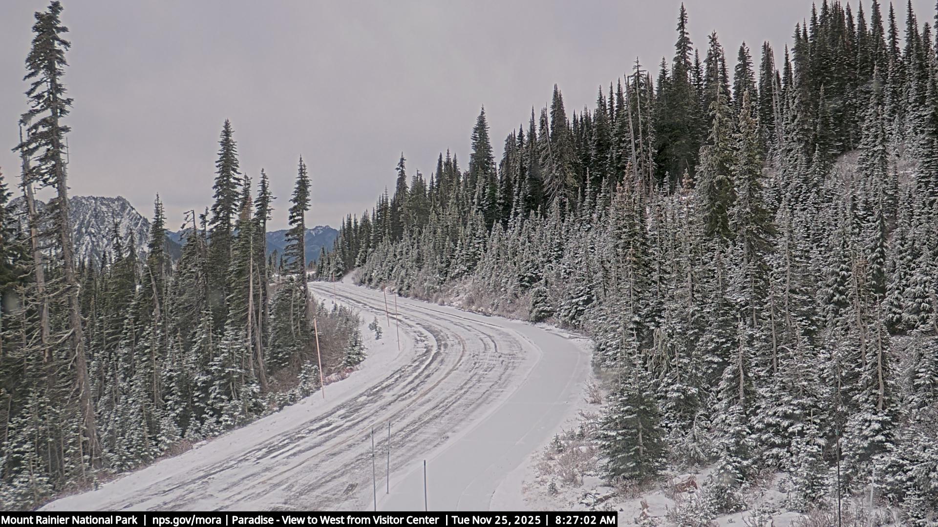Paradise Mount Rainier NP, Looking west from the Jackson Visitor