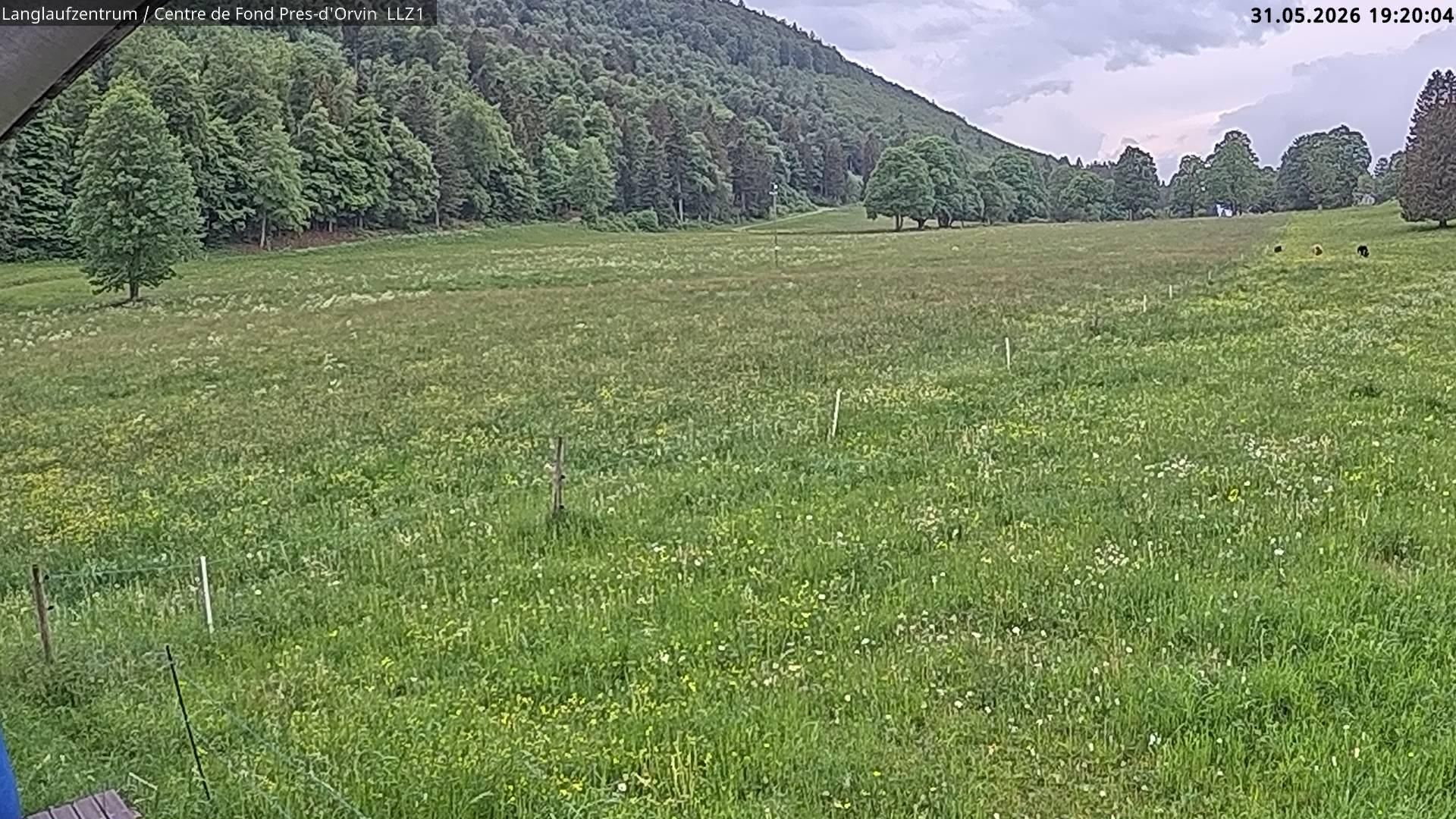 Orvin › Westen: Les Prés-d - Langlaufzentrum: Langlaufzentrum Les Prés-d
