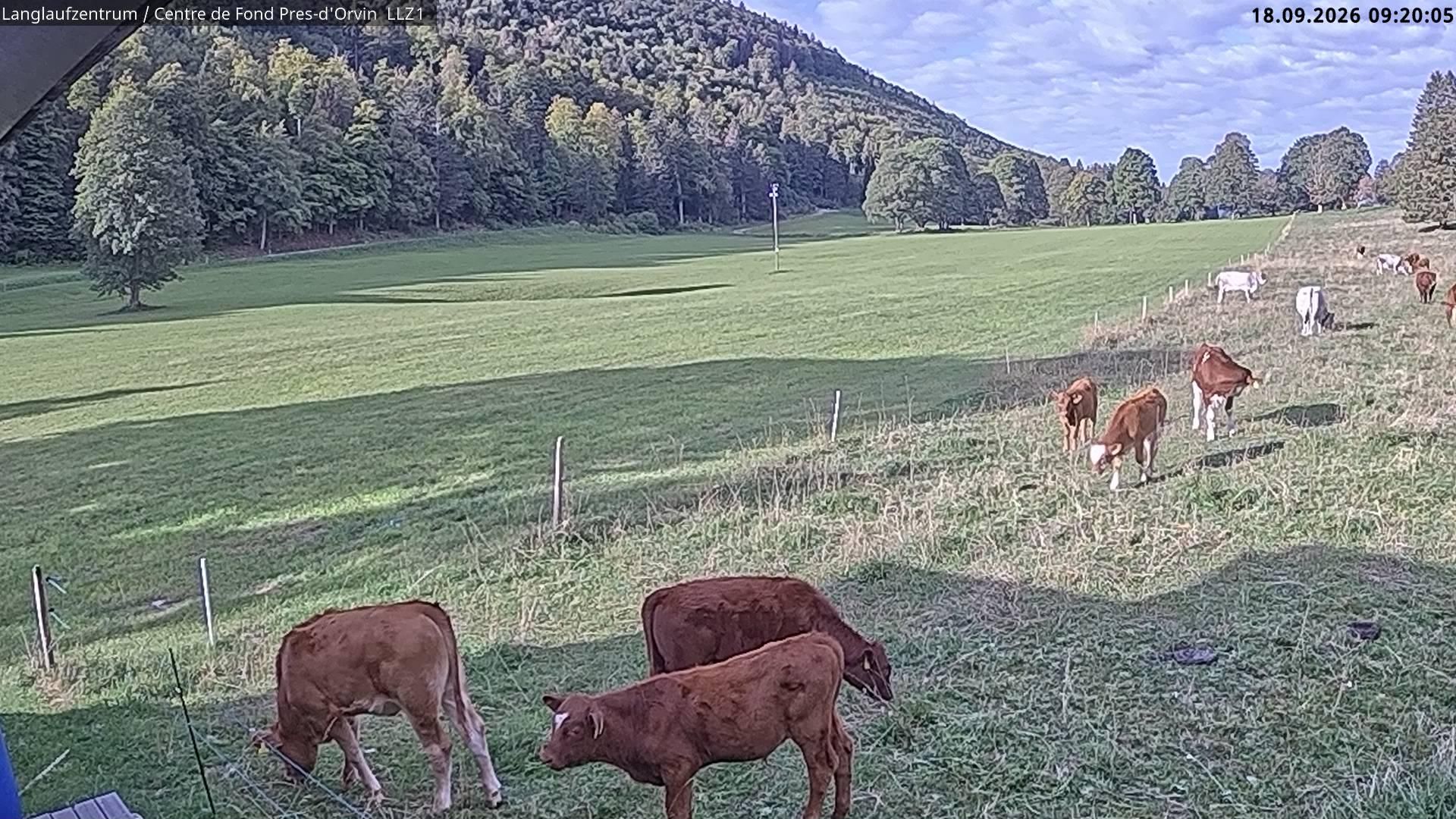 Orvin › Südwesten: Les Prés-d - Langlaufzentrum: Langlaufzentrum Les Prés-d