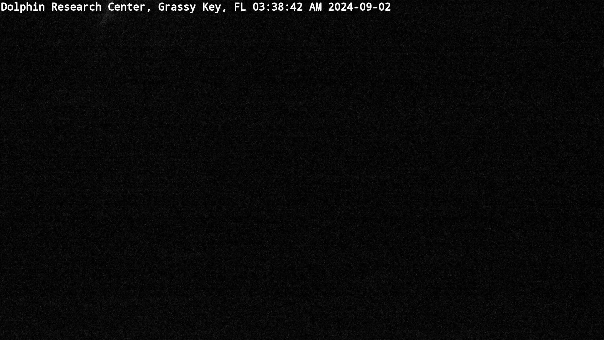 Traffic Cam Marathon: Grassy Key