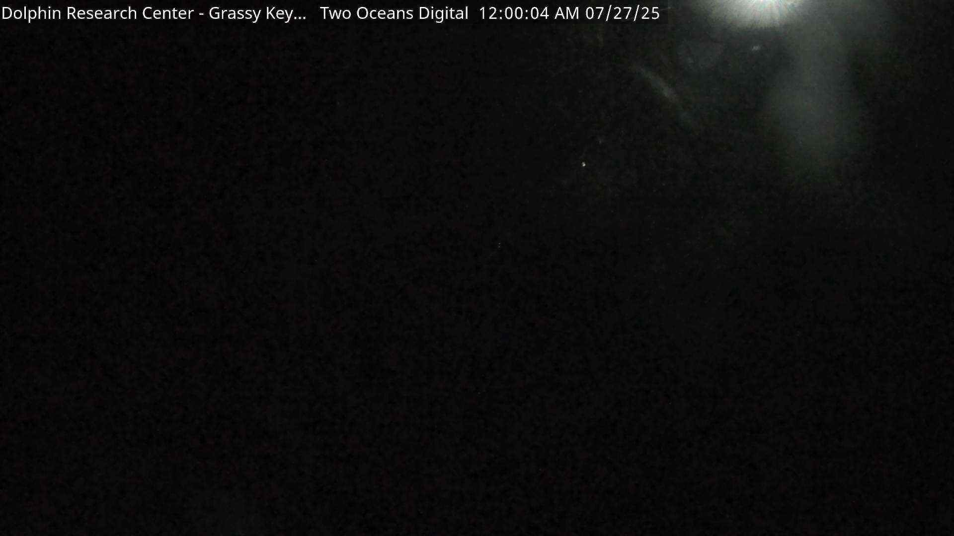 Traffic Cam Marathon: Grassy Key