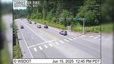 Sammamish Traffic and Landscape