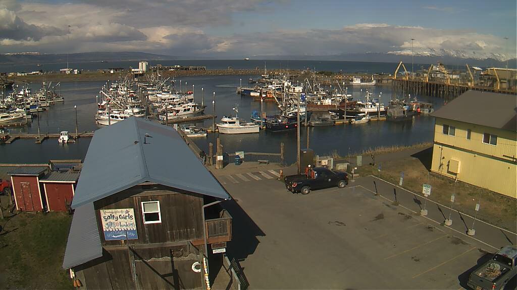 Traffic Cam Homer: City of Homer Port & Harbor - Homer Spit