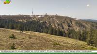 Feldberg › South-West: Baldenweger Buck