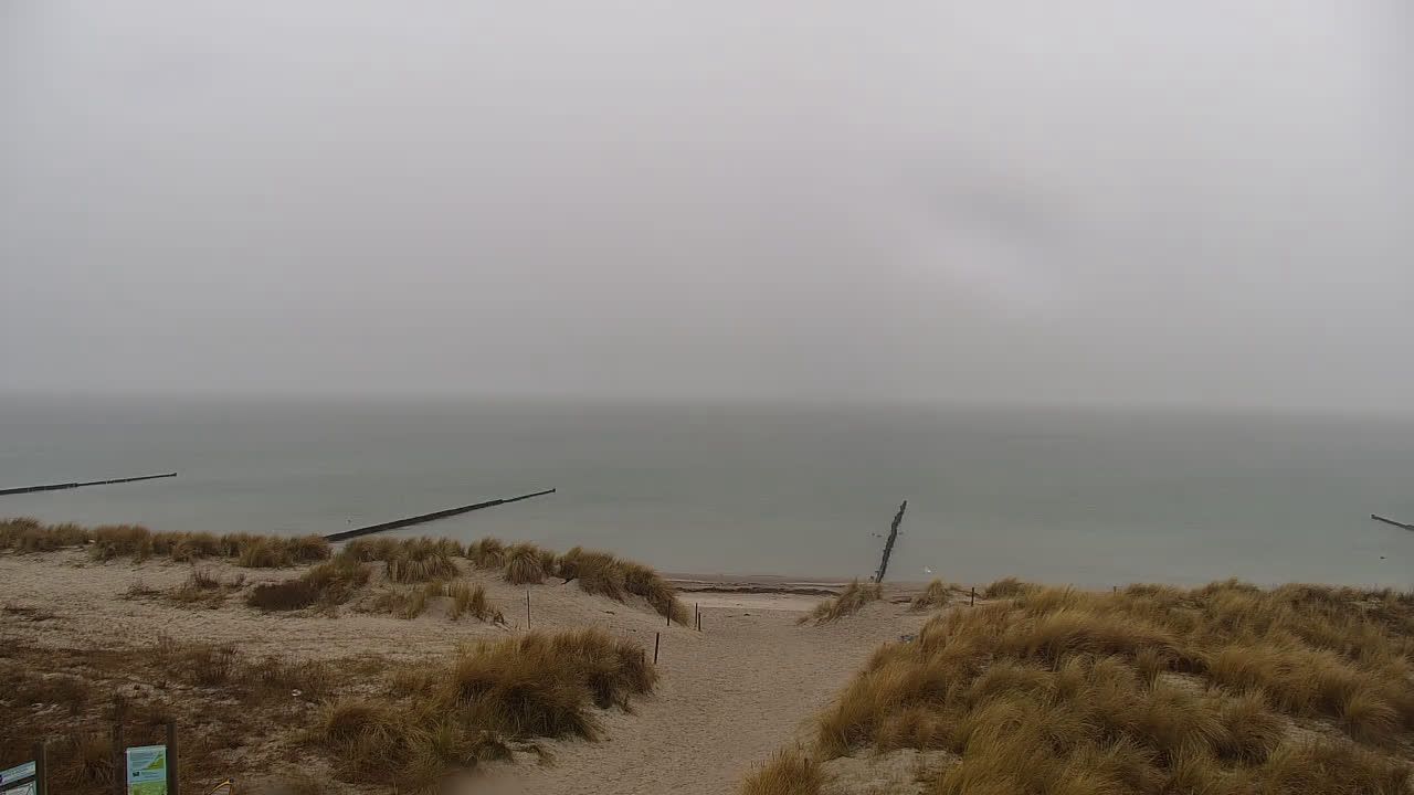 Markgrafenheide: Livespotting - Live vom Sandstrand an der Ostsee in