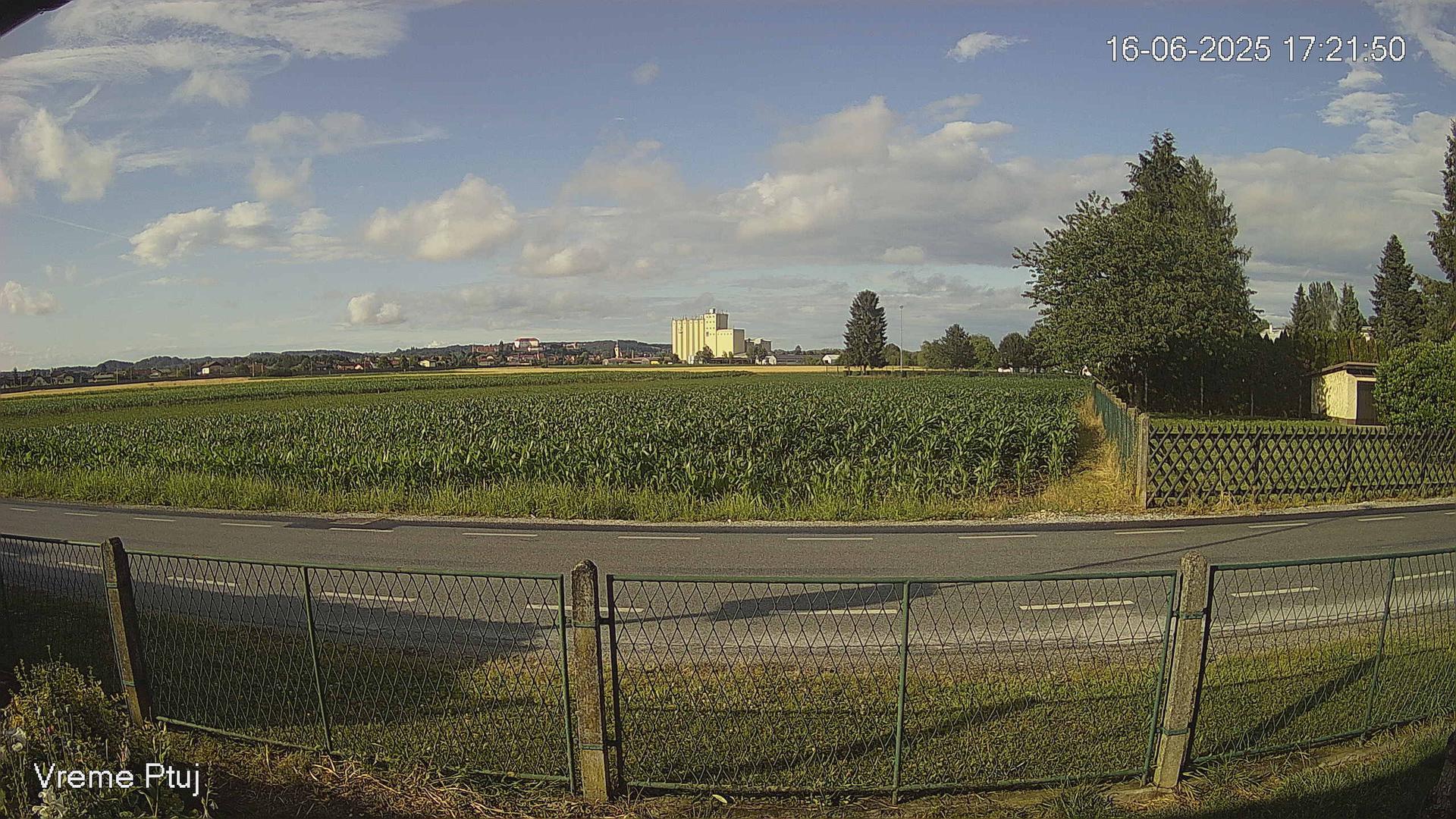 Breg Ptuj: Captivating Scenic Views Webcam