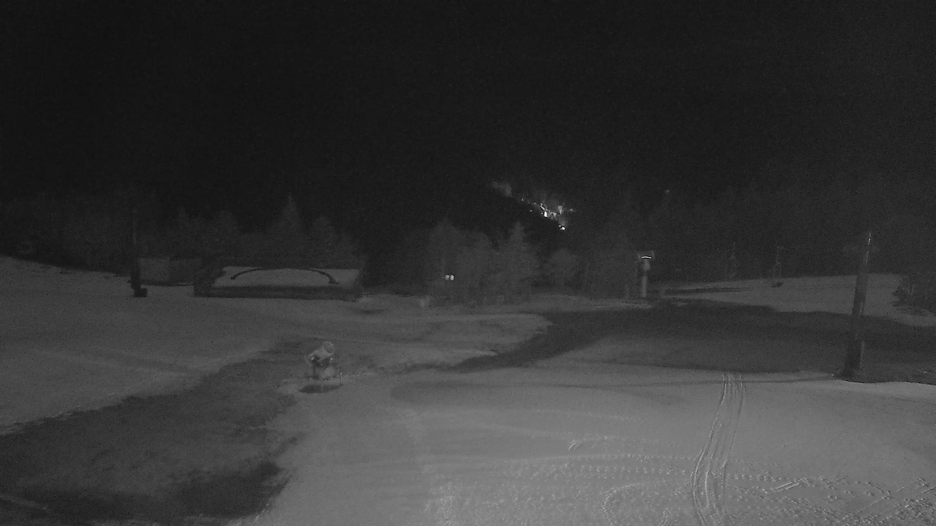 Snowshoe cam