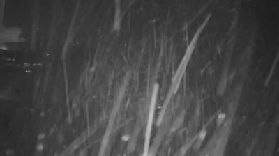 Webcam en vivo Snowshoe - ahora mismo