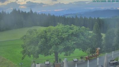Oberageri forest webcam